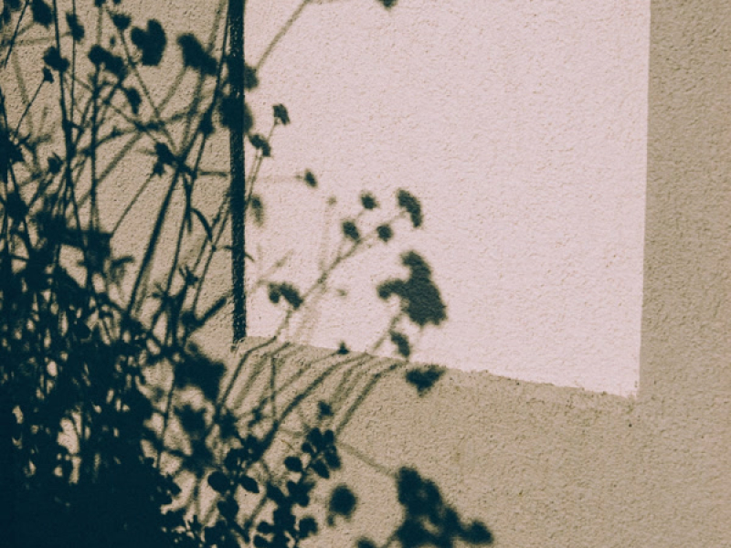 neither of us will be missed (Single)