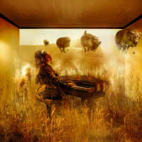 Fever Dream (Single)