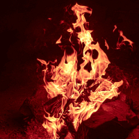 Dante And The Beast (Single)