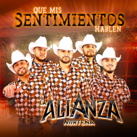 Que Mis Sentimientos Hablen (Single)