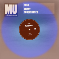 Possibilities (Single)