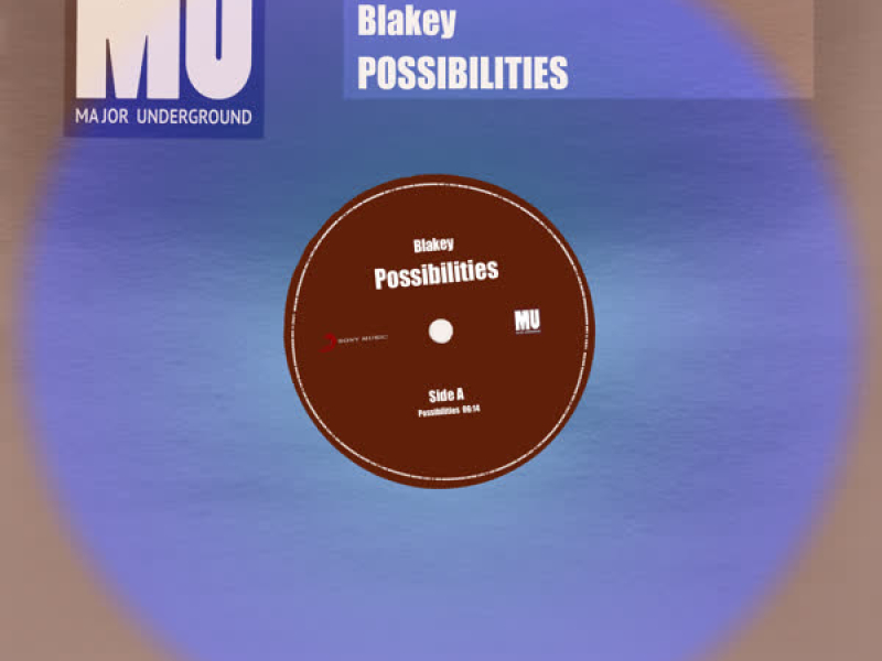 Possibilities (Single)