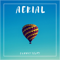 Aerial (Single)