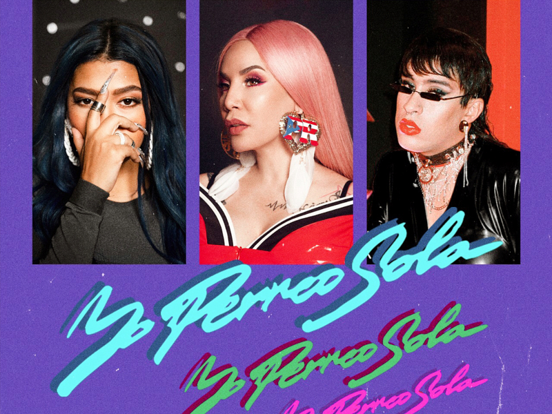 Yo Perreo Sola (Remix)