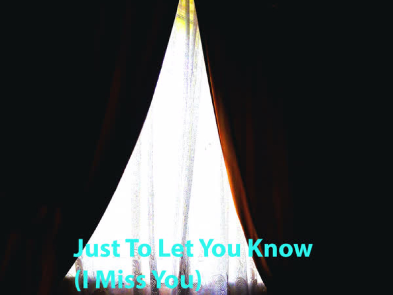 Just to Let You Know (I Miss You) (Single)