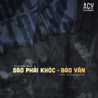 Sao Phải Khóc (Ducth Music Remix) (Single)