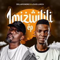 Imizwilili (Single)