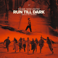 Run Till Dark (Carta & Willim Remix) (Single)