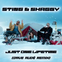 Just One Lifetime (Dave Audé Remix) (Single)