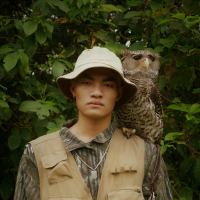 Thanh Âm Da Vàng (Single)