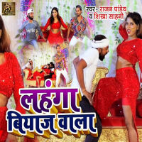 Lehanga Biyaaj Wala (Single)
