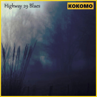 Highway 29 Blues (Single)