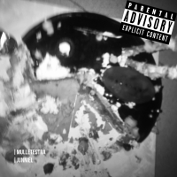 Mulletestra (Single)