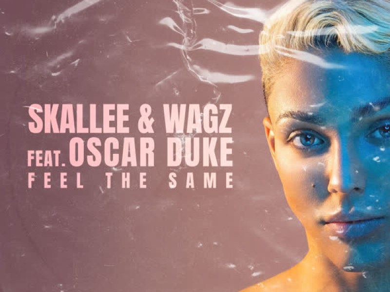 Feel the Same (Edit) (Single)