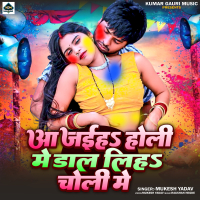 Aa Jaiha Holi Me Dal Liha Choli Me (Single)