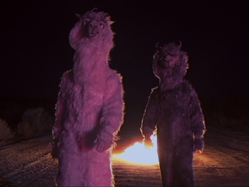 The Last Of The Real Ones (MV) (Single)