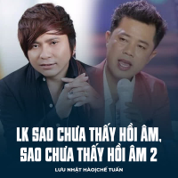 LK Sao Chưa Thấy Hồi Âm, Sao Chưa Thấy Hồi Âm 2 (Single)