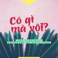 Có Gì Mà Vội (Single)