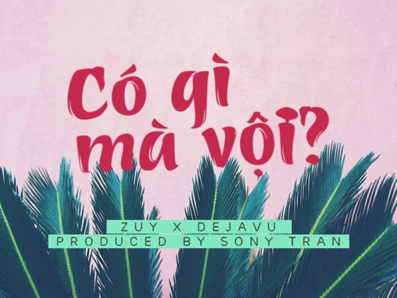 Có Gì Mà Vội (Single)