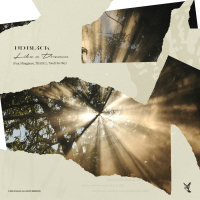 Like a Dream (Single)