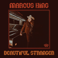 Beautiful Stranger (Single)