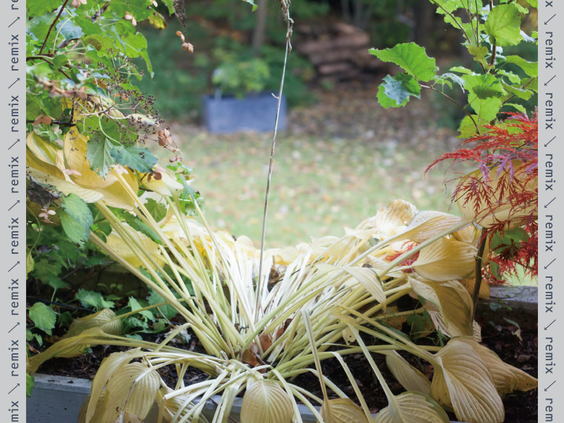 Help (IDIOTAPE Remix) (Single)