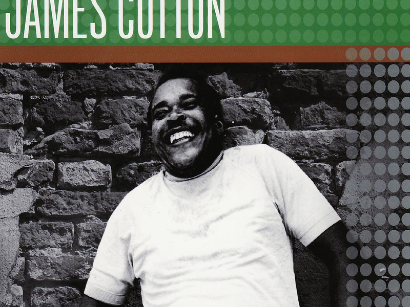 Vanguard Visionaries