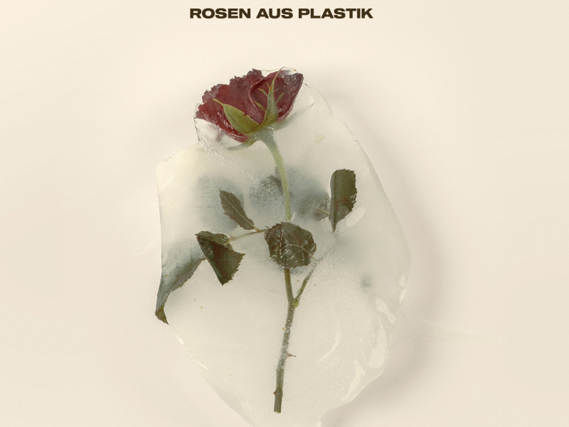 Rosen aus Plastik