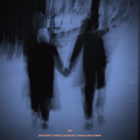 Whole Again (Single)