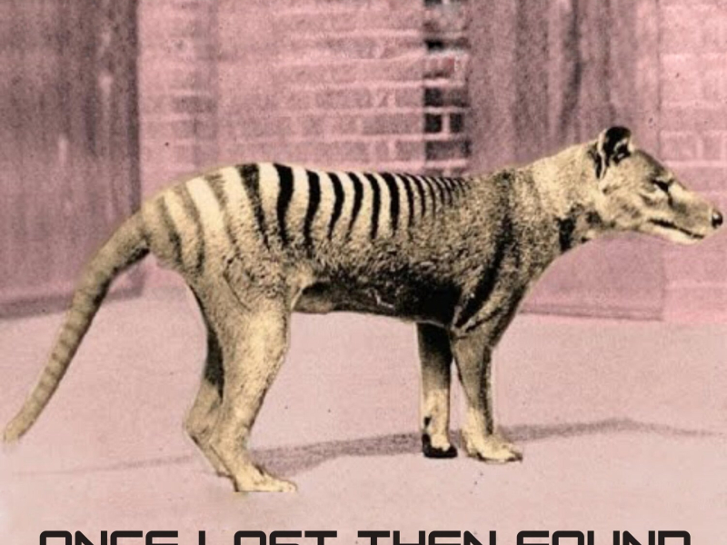 Once Lost Then Found (Downtempo)