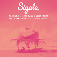 Feels Like Home (Jus Now Remix) (Single)