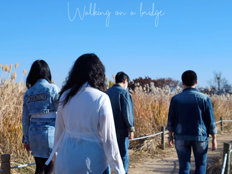 Walking on a bridge (Single)