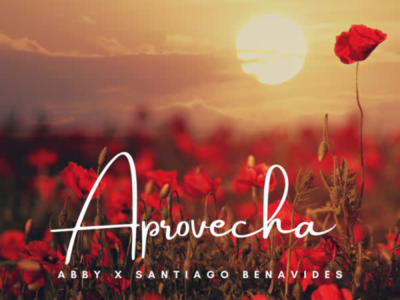 Aprovecha (Single)