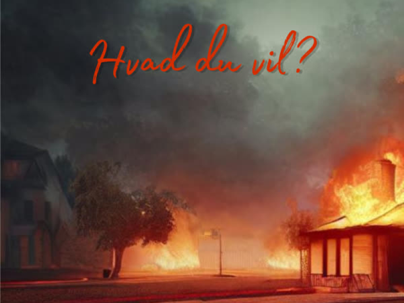 Hvad du vil? (Single)