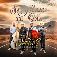 Si Acaso Te Vas (Single)