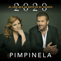 2020: El Anõ Que Se Detuvo el Tiempo (Single)