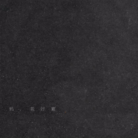 妈，我好累 (说唱版) (Single)