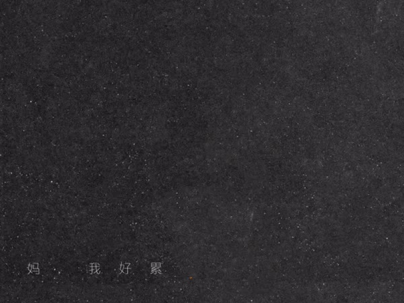 妈，我好累 (说唱版) (Single)