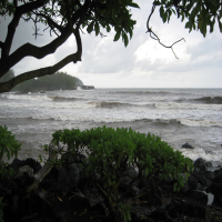 Point Of View (Original Sanchez Music Studio) (Single)