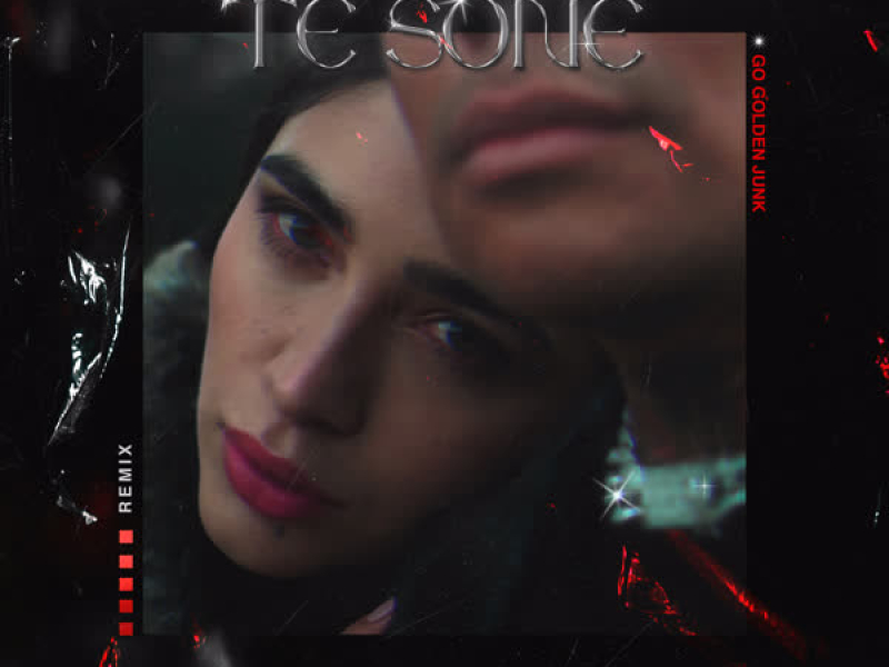 Te Soñé (Remix) (Single)