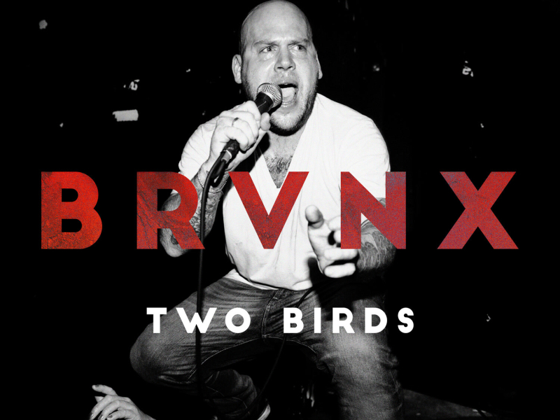 Two Birds (Single)