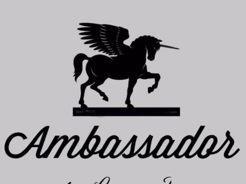 Ambassador (feat. Hook Heavy)
