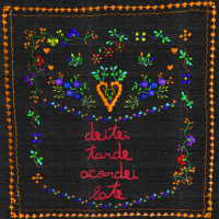 Deitei Tarde Acordei Late (Single)