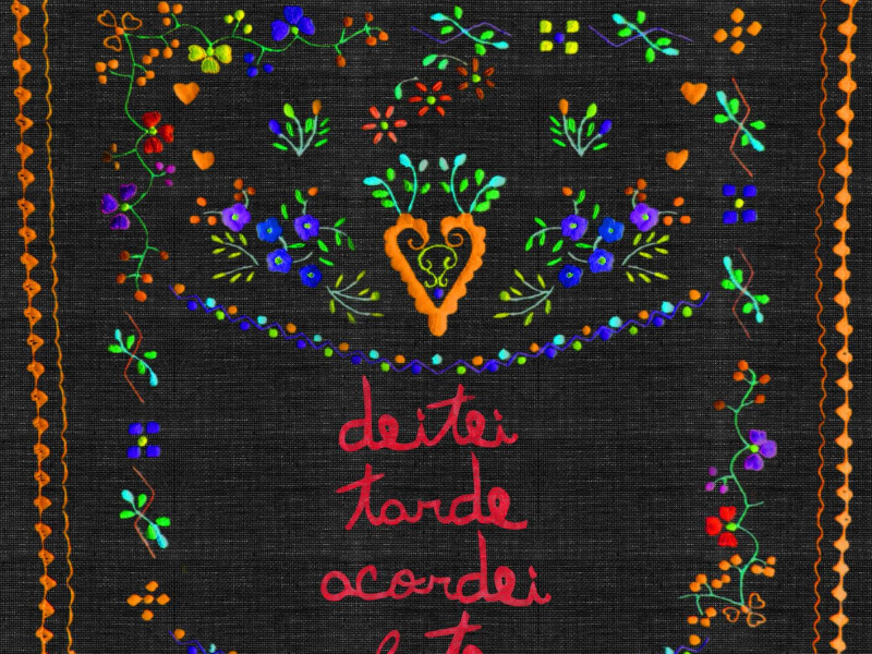 Deitei Tarde Acordei Late (Single)