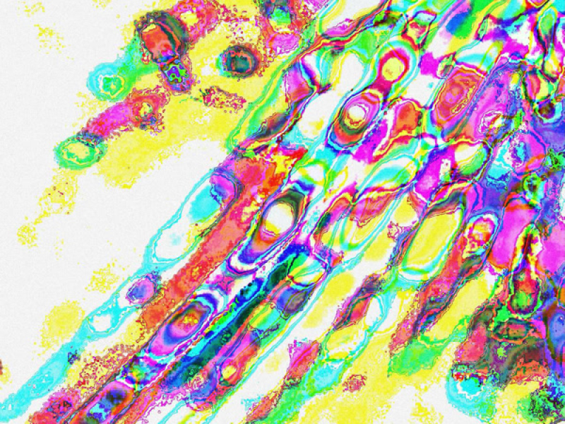 Mind Chatter (Single)