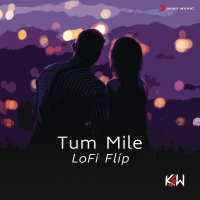 Tum Mile (Lofi Flip) (Single)