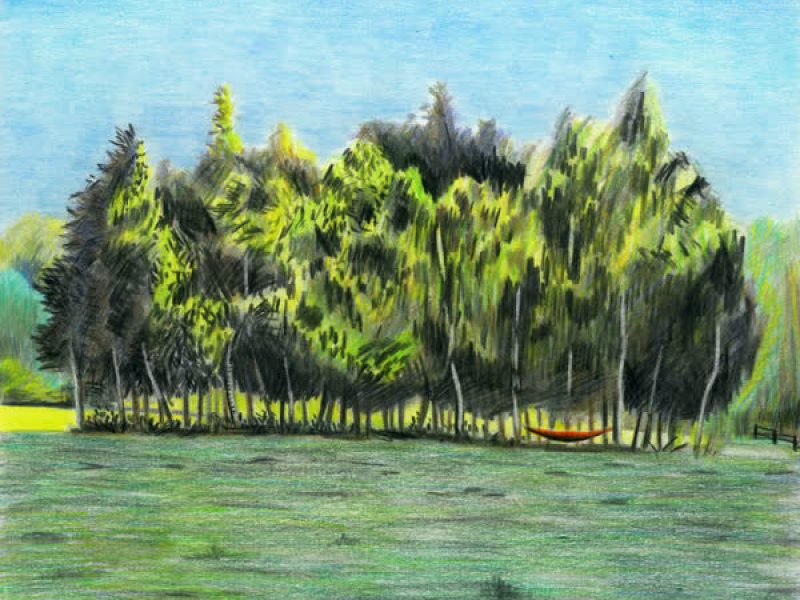 My Life Is A Song For You (Single)