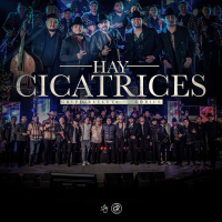 Hay Cicatrices (En Vivo) (Single)