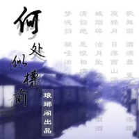 Hà Xử Tự Tôn Tiền / 何处似樽前