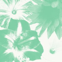 Nothing to be scared (Single)